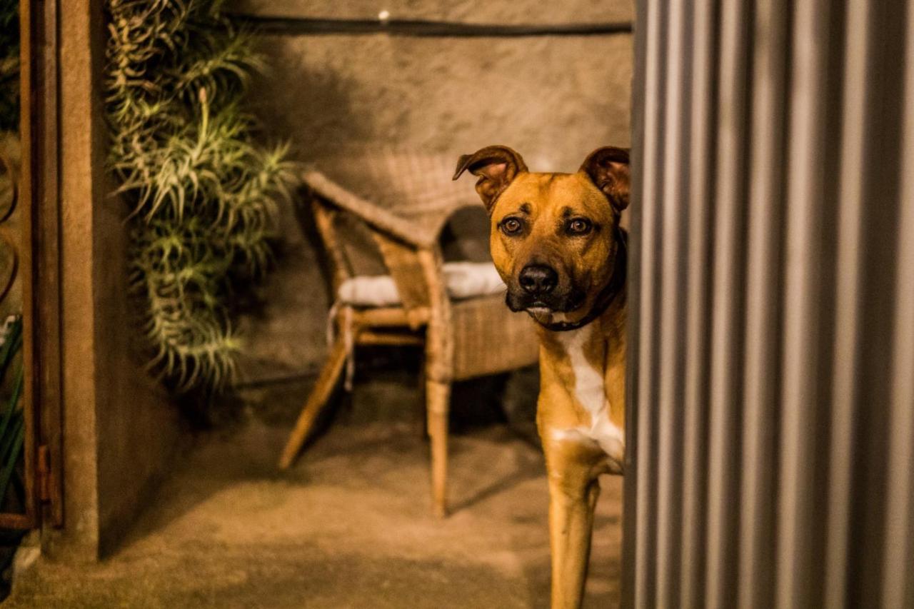 Ferienwohnung Finca Monica La Matanza De Acentejo Kültér fotó